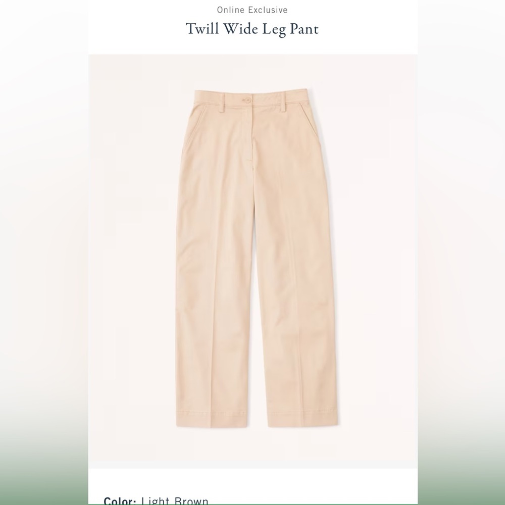 Abercrombie & fitch NWT twill pants